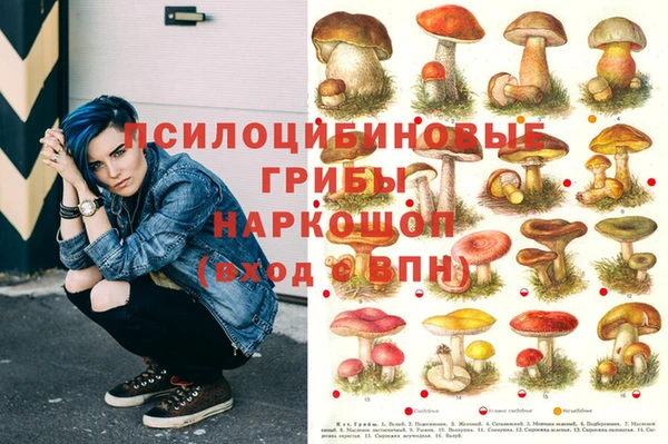 прущая мука Алзамай