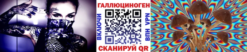 Галлюциногенные грибы Magic Shrooms  ОМГ ОМГ как зайти  Бакал  продажа наркотиков 